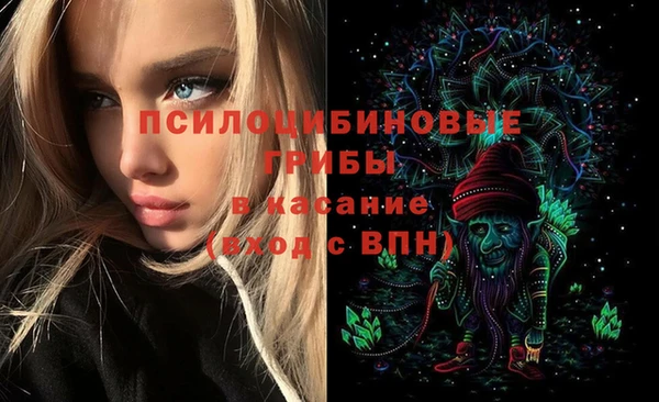 PSILOCYBIN Богородск