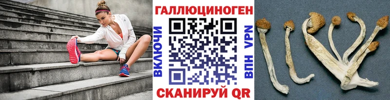 hydra вход  Ачхой-Мартан  Галлюциногенные грибы Magic Shrooms 